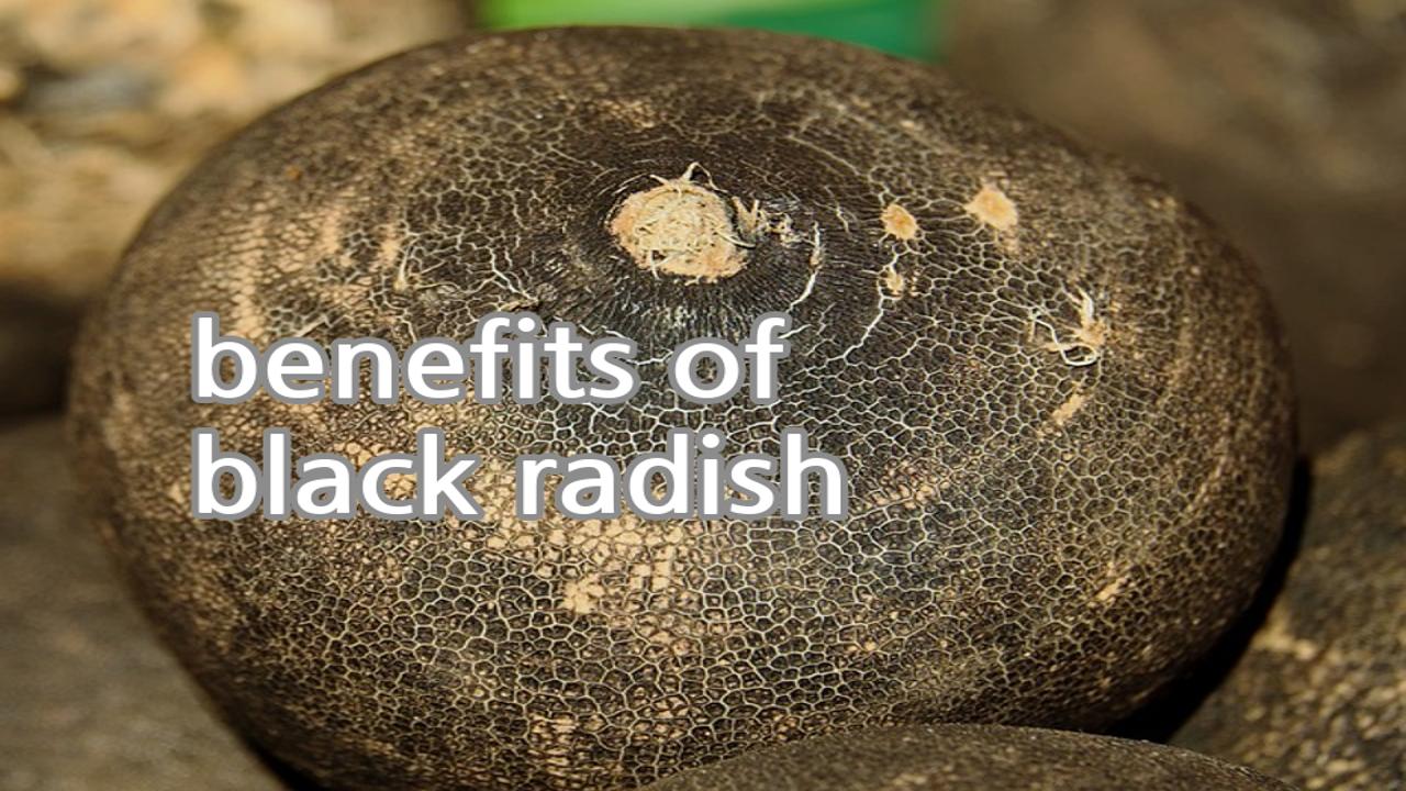 benefits of black radish