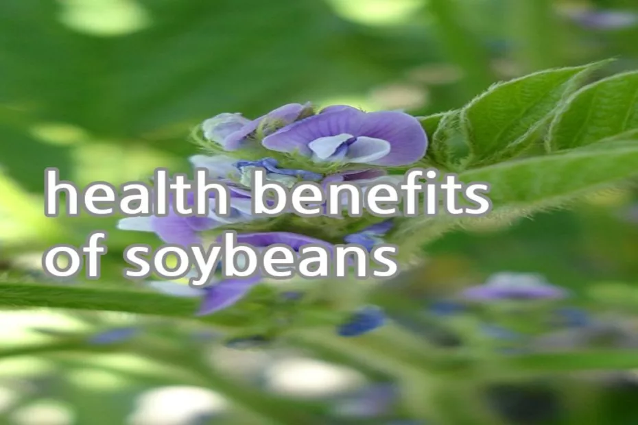 health benefits of soybeans