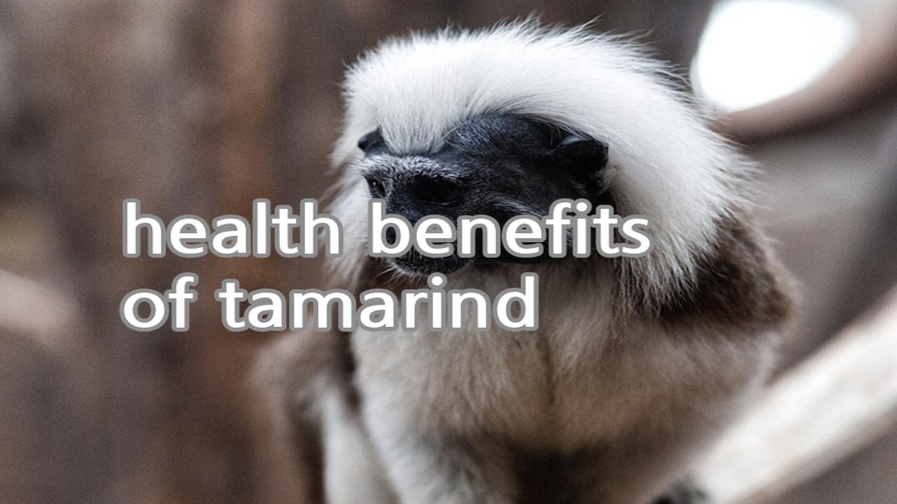health benefits of tamarind