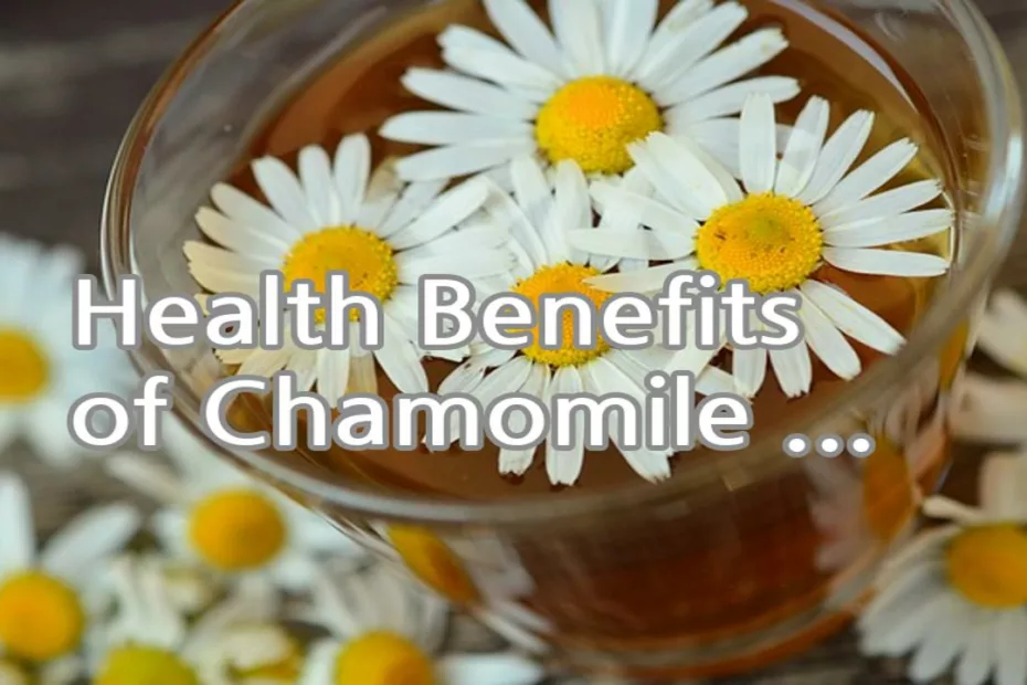 Health Benefits of Chamomile Tea