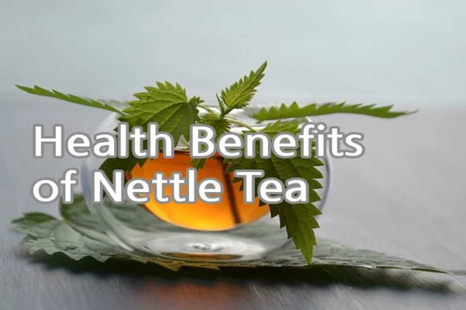 Health Benefits of Nettle Tea