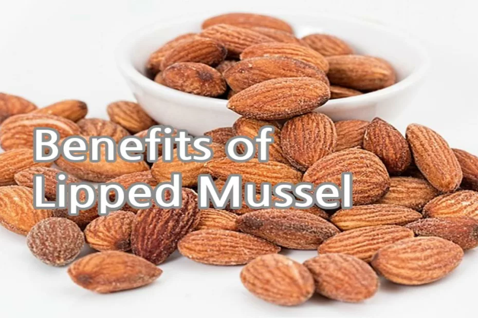 Benefits of Lipped Mussel