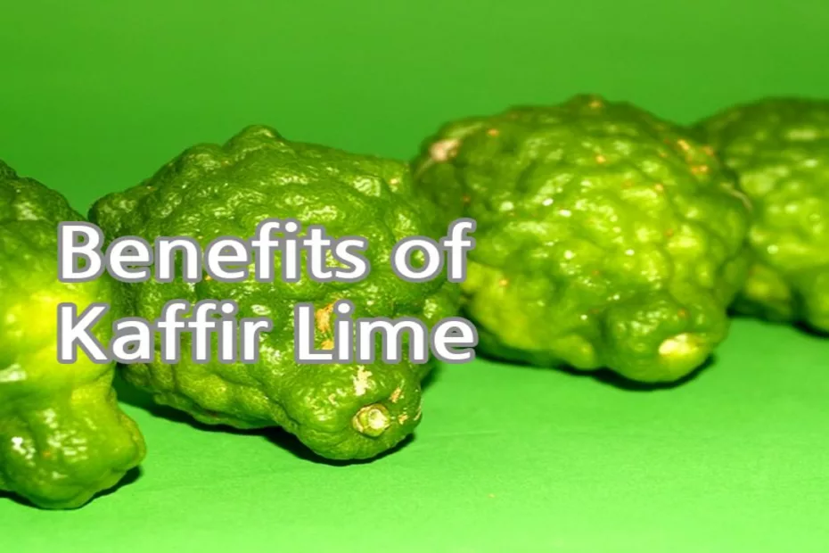 Benefits of Kaffir Lime