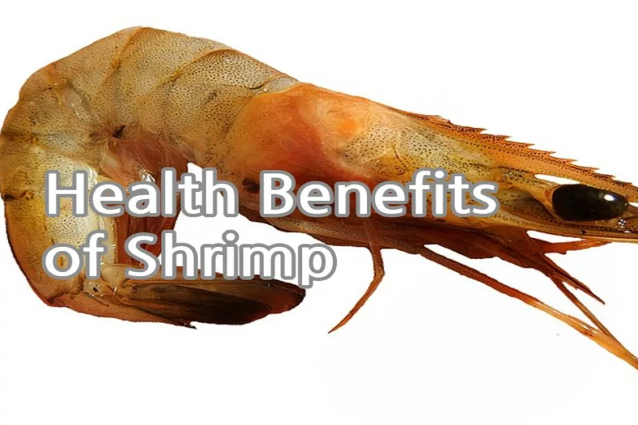 Health Benefits of Shrimp