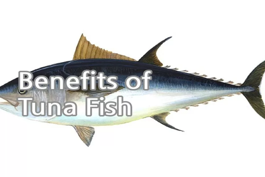 Benefits of Tuna Fish