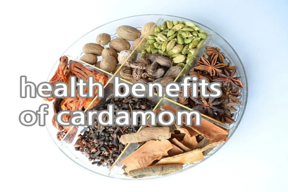 health benefits of cardamom