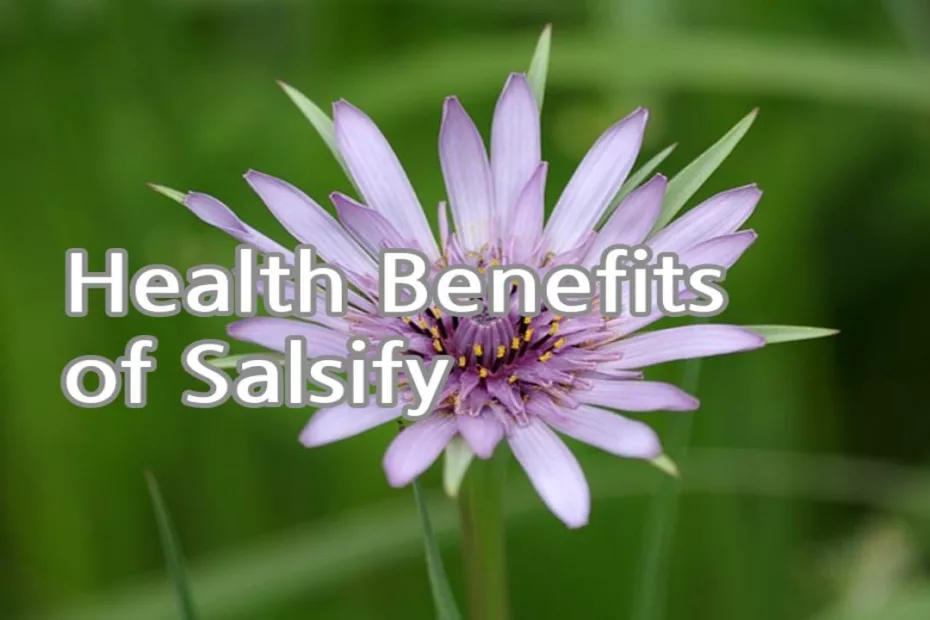 Health Benefits of Salsify
