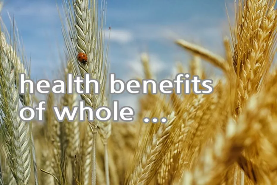 health benefits of whole grains