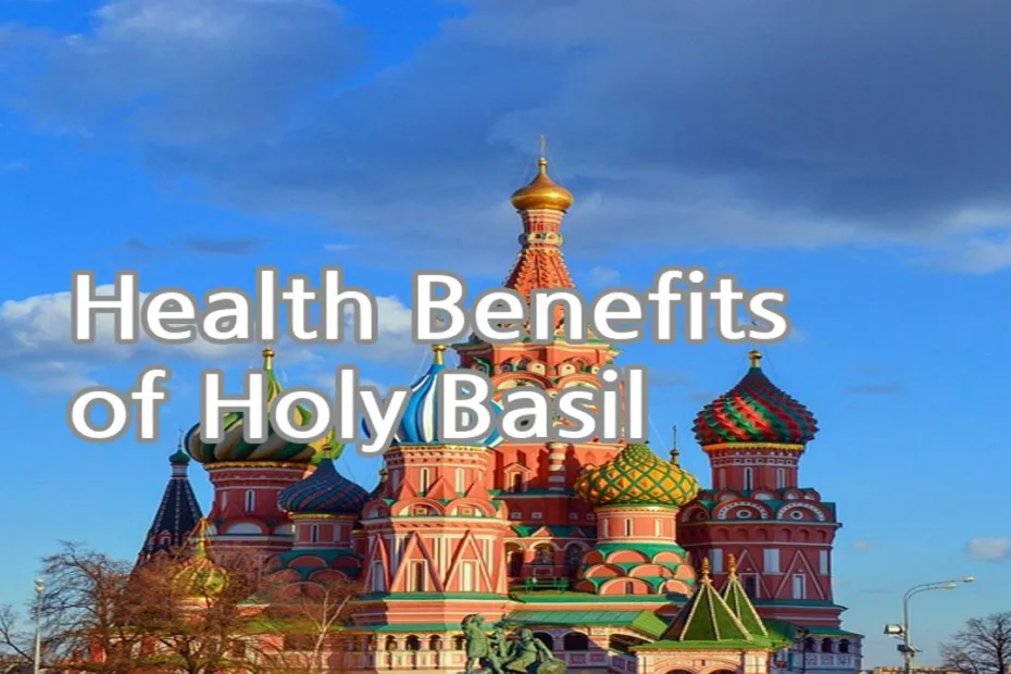 Health Benefits of Holy Basil