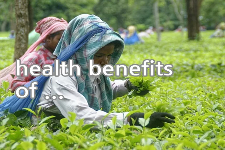 health benefits of darjeeling tea