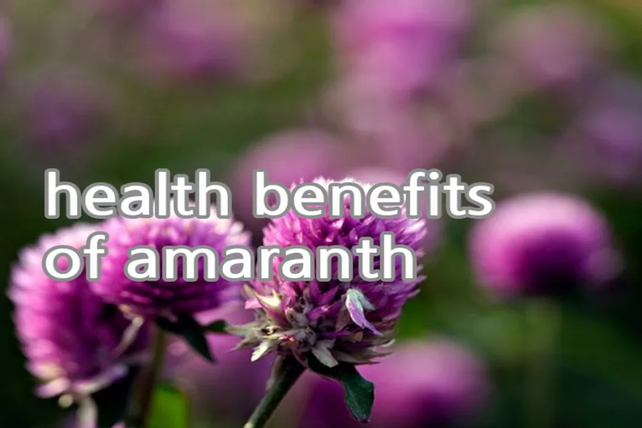 health benefits of amaranth