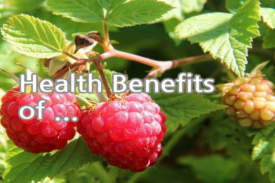 Health Benefits of Raspberries