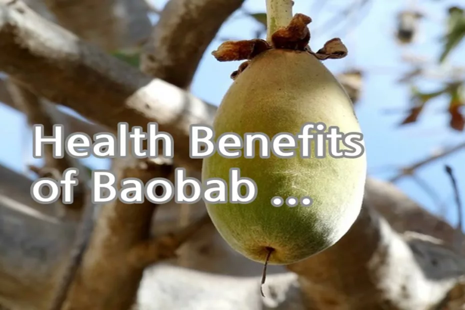 Health Benefits of Baobab fruit