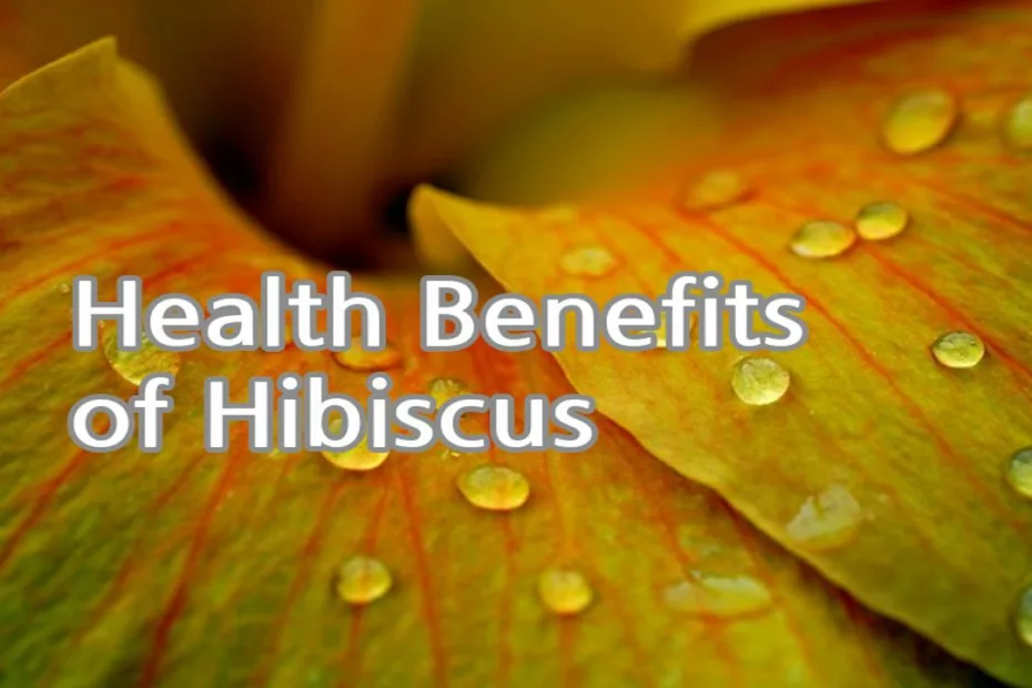 Health Benefits of Hibiscus