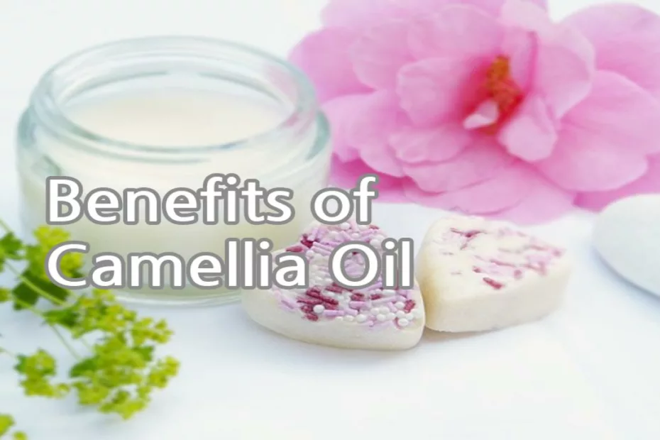 Benefits of Camellia Oil